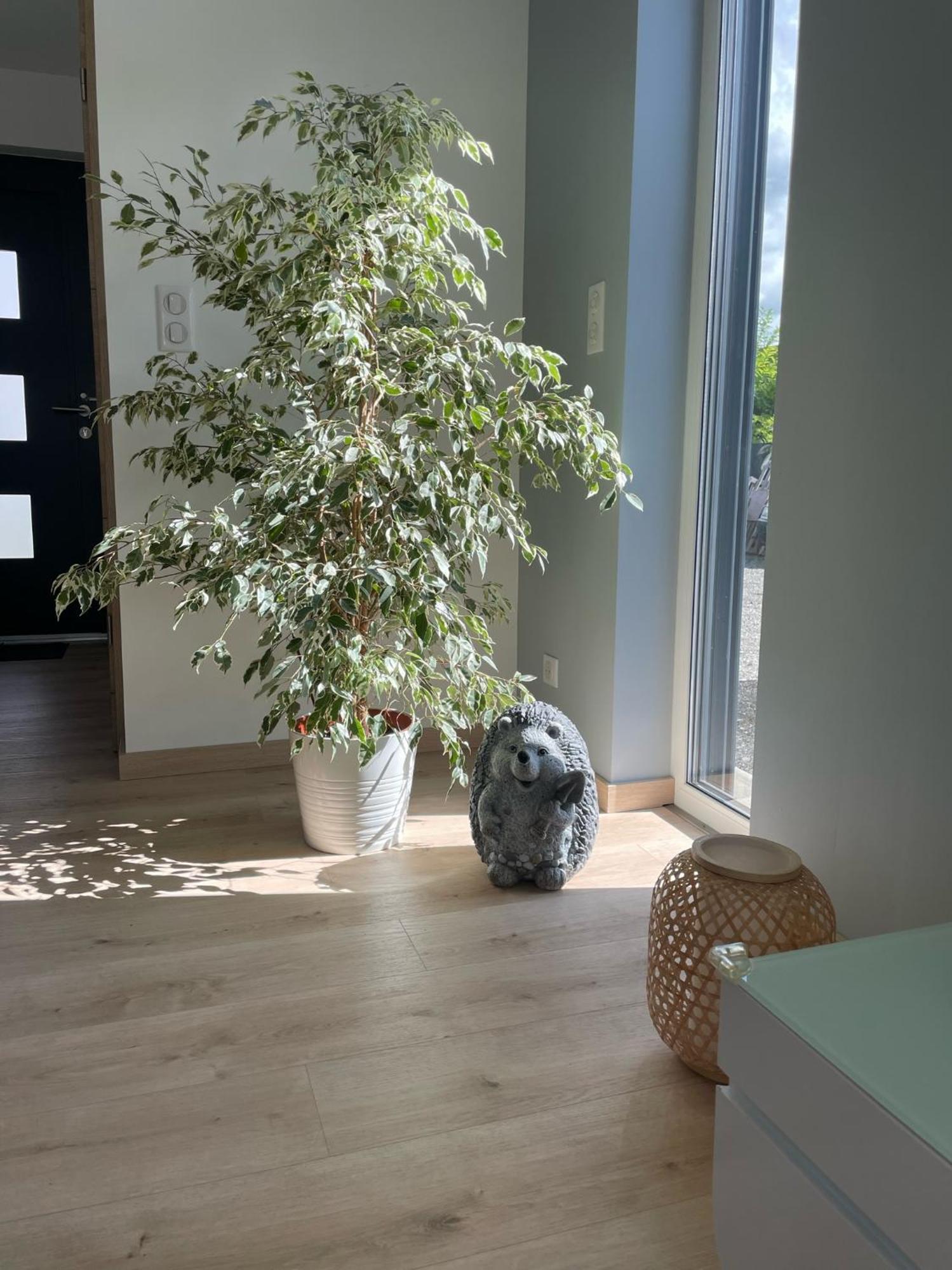 Maison Spacieuse Proche Strasbourg โอสต์วัลด์ ภายนอก รูปภาพ